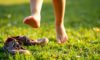 Barefoot Footwear’s Orthopaedic Benefits for Children
