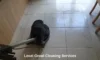 Grout Cleaners Near Longcross: Top Local Options