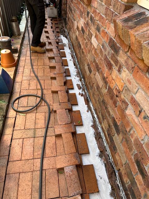 Dependable Sydney Protection with Termite Reticulation Systems