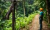 Canopy Tours in Belize: Thrilling Zip Lining Adventures