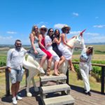 Yarra Valley Wineries: Discover the Best in 2025