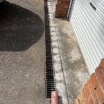 Termite Protection: Identifying Your Home’s Coverage Options