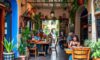 Cafes in San Miguel de Allende Showcase Distinctive Flavours