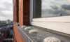 Bird Proofing Solutions: Effective Gel Repellent Alternatives