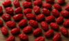 Dried Barberries: Authentic Persian Culinary Delights