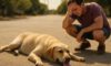 Heat Exhaustion Treatment for Pets: Essential Recovery Advice
