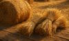 Hay and Straw: Innovative Cooking Recipe Inspirations